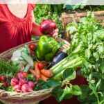 woman with basket harvesting her vegetable garden